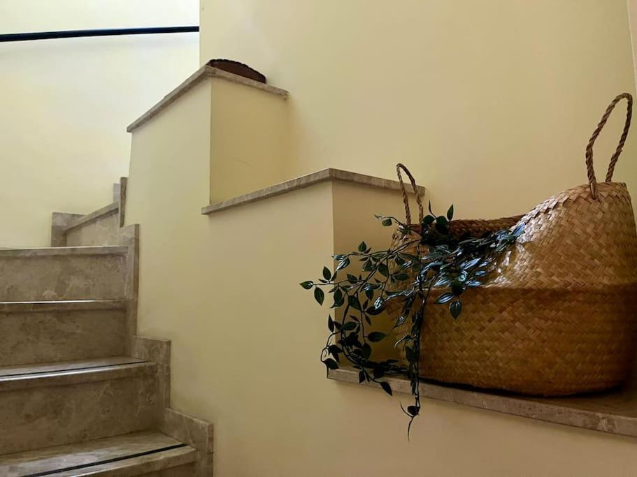 Apartamento J Costa 15- Alameda Hercules セビリア エクステリア 写真